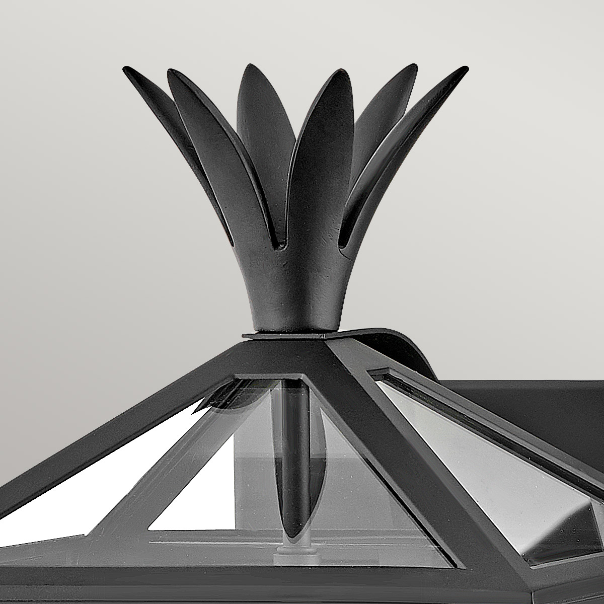 картинка Настенный фонарь Hinkley, Арт. HK-PALMA-M-BK от магазина Одежда+ 2